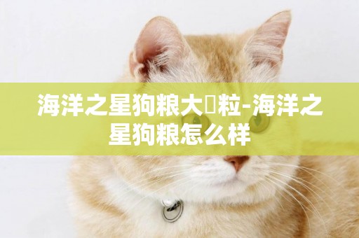 海洋之星狗糧大顆粒-海洋之星狗糧怎么樣