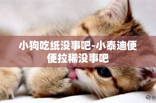 小狗吃紙沒事吧-小泰迪便便拉稀沒事吧