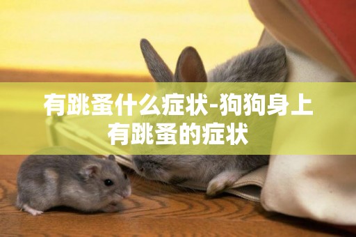 有跳蚤什么癥狀-狗狗身上有跳蚤的癥狀