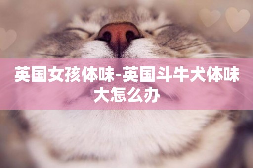 英國女孩體味-英國斗牛犬體味大怎么辦