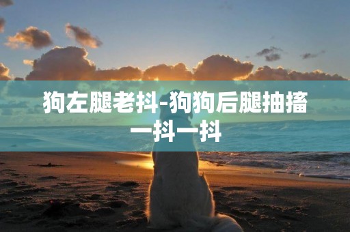 狗左腿老抖-狗狗后腿抽搐一抖一抖
