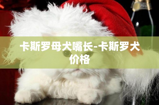 卡斯羅母犬嘴長-卡斯羅犬價格