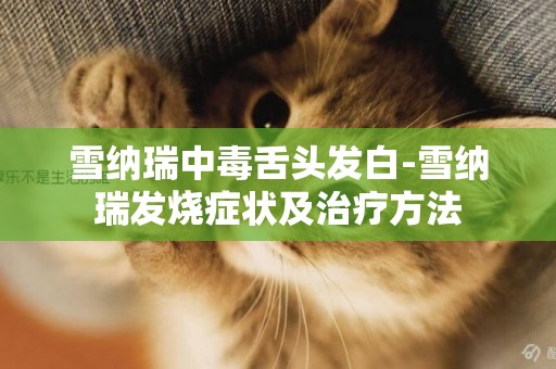 雪納瑞中毒舌頭發白-雪納瑞發燒癥狀及治療方法