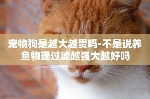 寵物狗是越大越貴嗎-不是說養魚物理過濾越強大越好嗎