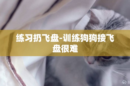 練習扔飛盤-訓練狗狗接飛盤很難