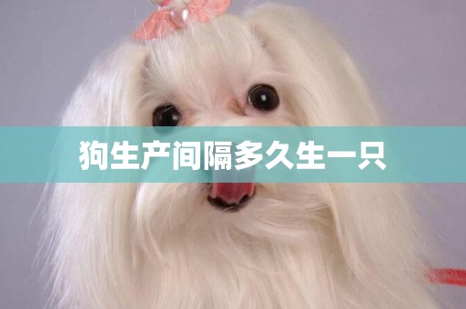 狗生產間隔多久生一只