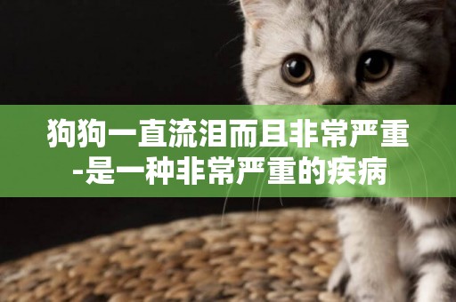 狗狗一直流淚而且非常嚴重-是一種非常嚴重的疾病
