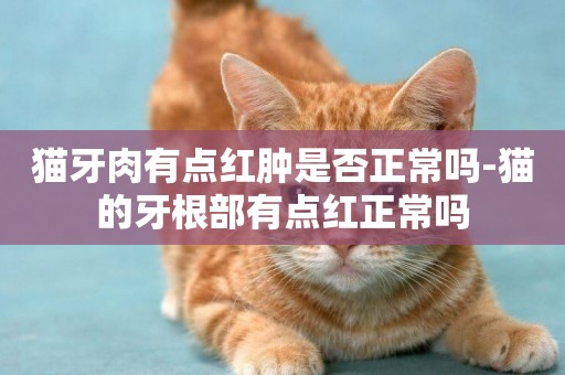 貓牙肉有點紅腫是否正常嗎-貓的牙根部有點紅正常嗎