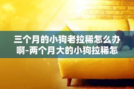 三個月的小狗老拉稀怎么辦啊-兩個月大的小狗拉稀怎么辦