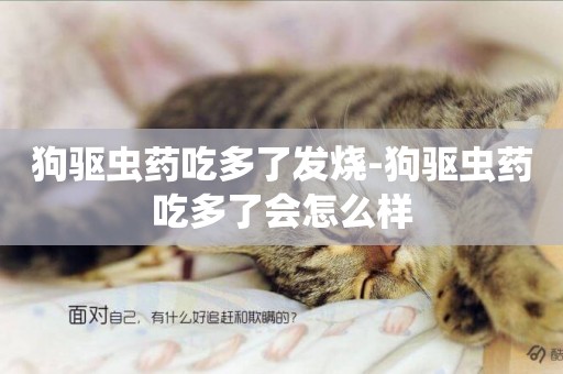 狗驅蟲藥吃多了發燒-狗驅蟲藥吃多了會怎么樣