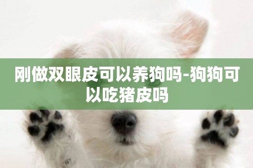 剛做雙眼皮可以養狗嗎-狗狗可以吃豬皮嗎