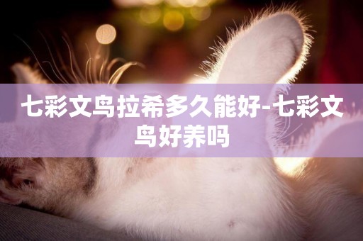 七彩文鳥拉希多久能好-七彩文鳥好養嗎