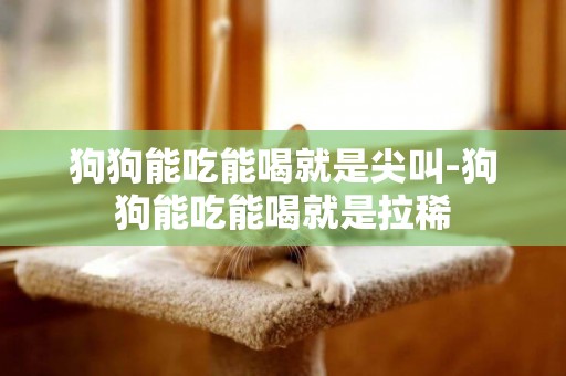 狗狗能吃能喝就是尖叫-狗狗能吃能喝就是拉稀