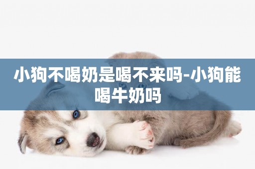 小狗不喝奶是喝不來嗎-小狗能喝牛奶嗎