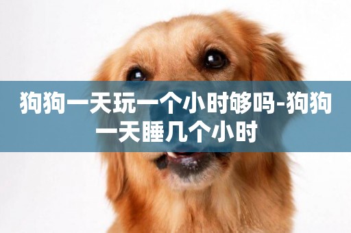 狗狗一天玩一個小時夠嗎-狗狗一天睡幾個小時