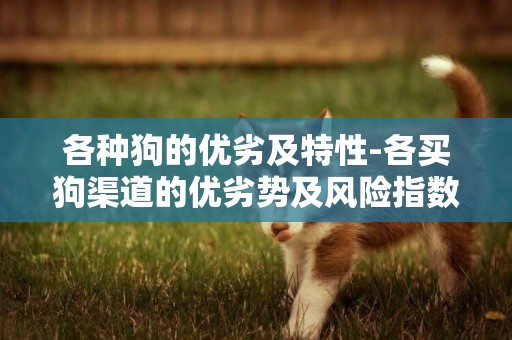 各種狗的優劣及特性-各買狗渠道的優劣勢及風險指數分析