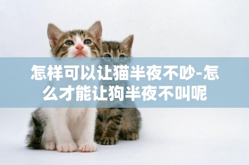 怎樣可以讓貓半夜不吵-怎么才能讓狗半夜不叫呢