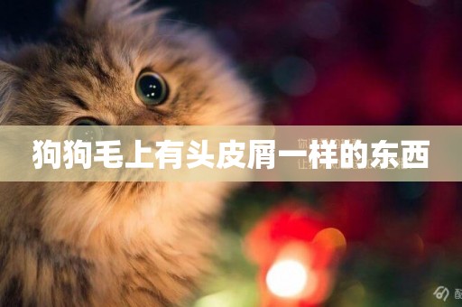狗狗毛上有頭皮屑一樣的東西
