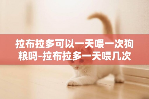 拉布拉多可以一天喂一次狗糧嗎-拉布拉多一天喂幾次好