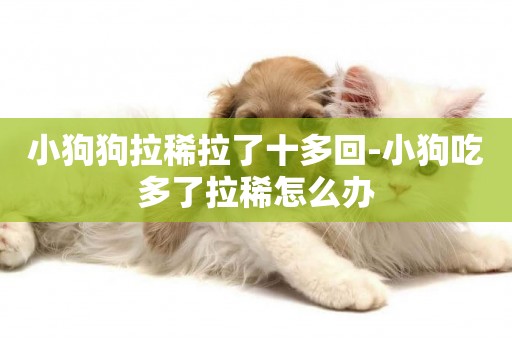 小狗狗拉稀拉了十多回-小狗吃多了拉稀怎么辦