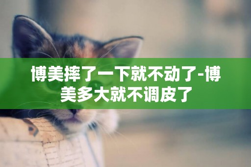 博美摔了一下就不動了-博美多大就不調皮了