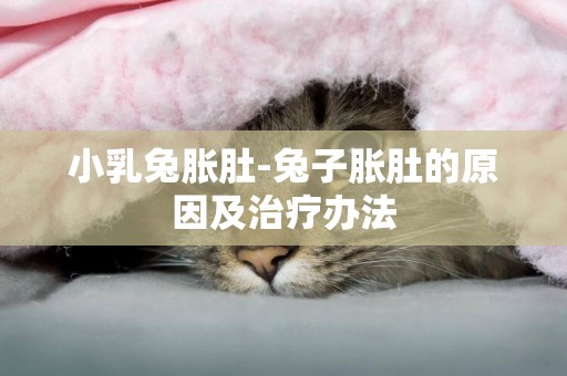 小乳兔脹肚-兔子脹肚的原因及治療辦法