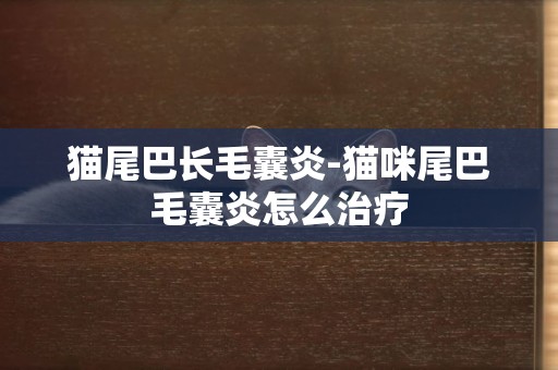 貓尾巴長毛囊炎-貓咪尾巴毛囊炎怎么治療