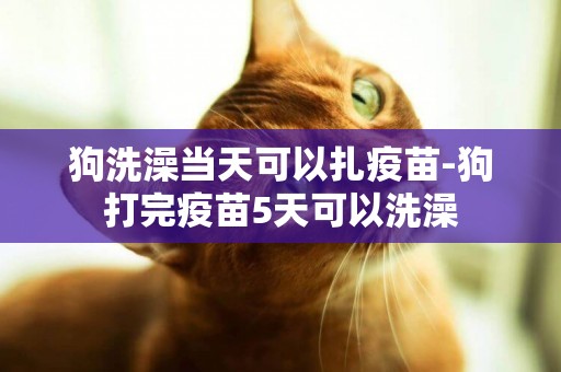 狗洗澡當天可以扎疫苗-狗打完疫苗5天可以洗澡