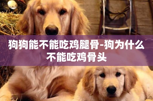 狗狗能不能吃雞腿骨-狗為什么不能吃雞骨頭