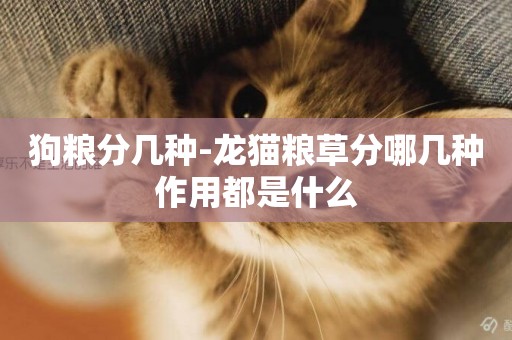 狗糧分幾種-龍貓糧草分哪幾種作用都是什么