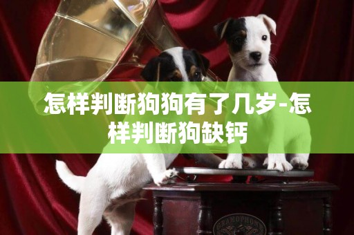怎樣判斷狗狗有了幾歲-怎樣判斷狗缺鈣