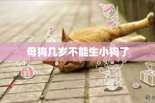 母狗幾歲不能生小狗了