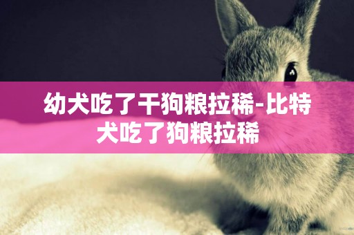幼犬吃了干狗糧拉稀-比特犬吃了狗糧拉稀