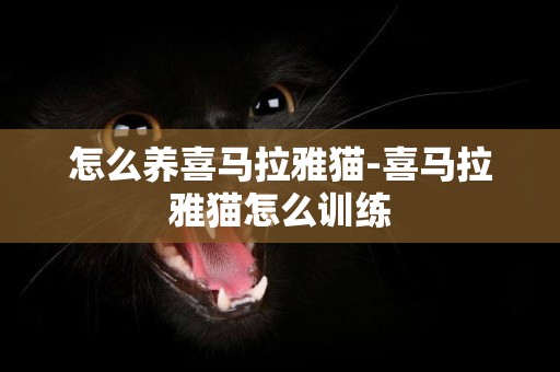 怎么養喜馬拉雅貓-喜馬拉雅貓怎么訓練