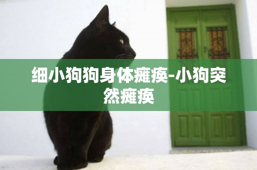 細小狗狗身體癱瘓-小狗突然癱瘓