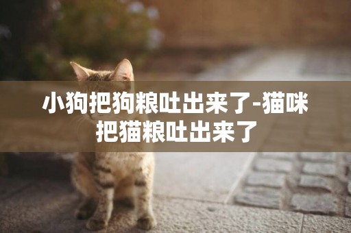 小狗把狗糧吐出來了-貓咪把貓糧吐出來了
