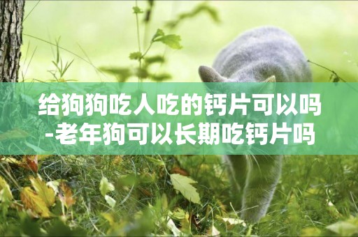 給狗狗吃人吃的鈣片可以嗎-老年狗可以長期吃鈣片嗎