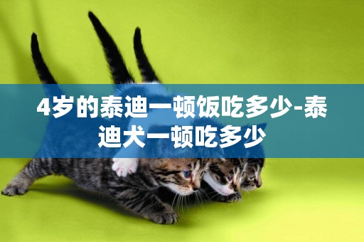 4歲的泰迪一頓飯吃多少-泰迪犬一頓吃多少
