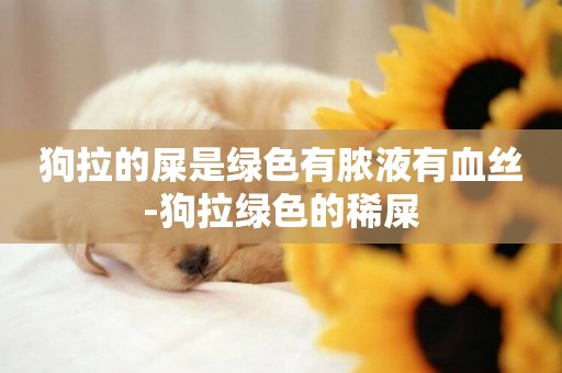 狗拉的屎是綠色有膿液有血絲-狗拉綠色的稀屎