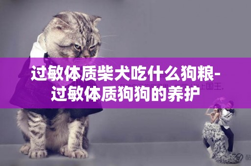 過敏體質柴犬吃什么狗糧-過敏體質狗狗的養護