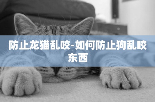 防止龍貓亂咬-如何防止狗亂咬東西