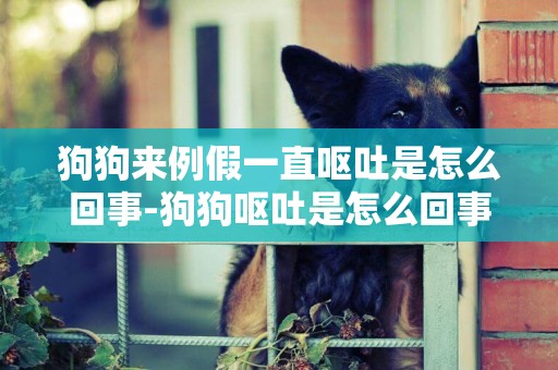 狗狗來例假一直嘔吐是怎么回事-狗狗嘔吐是怎么回事