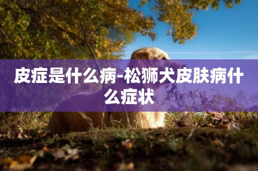 皮癥是什么病-松獅犬皮膚病什么癥狀