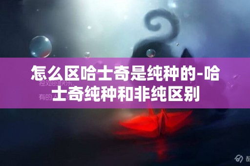怎么區哈士奇是純種的-哈士奇純種和非純區別