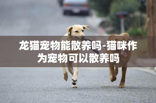 龍貓寵物能散養嗎-貓咪作為寵物可以散養嗎