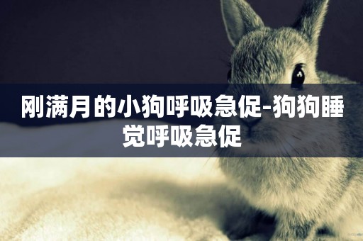 剛滿月的小狗呼吸急促-狗狗睡覺呼吸急促