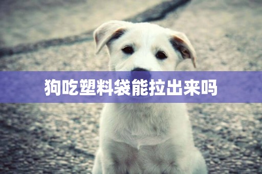 狗吃塑料袋能拉出來嗎