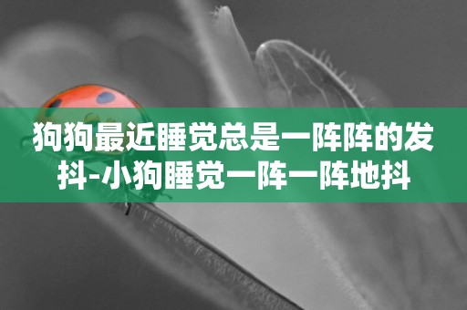 狗狗最近睡覺總是一陣陣的發抖-小狗睡覺一陣一陣地抖