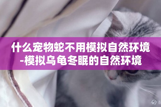 什么寵物蛇不用模擬自然環境-模擬烏龜冬眠的自然環境