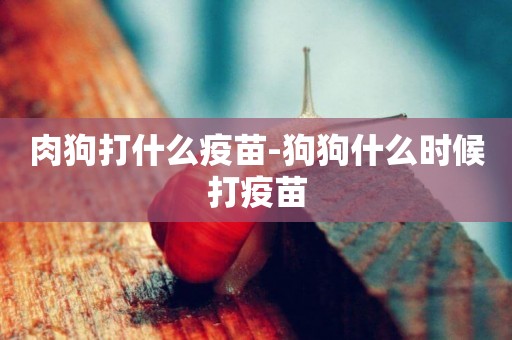 肉狗打什么疫苗-狗狗什么時候打疫苗